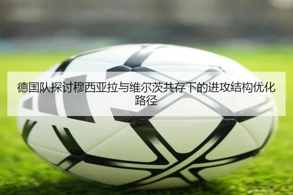 img_1780787294192_3157_1_421.jpg