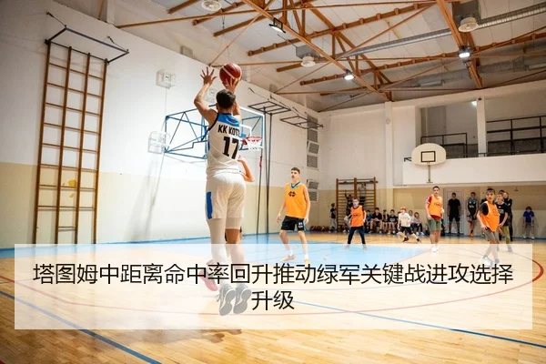塔图姆中距离命中率回升推动绿军关键战进攻选择升级